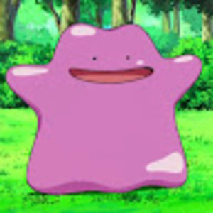 Meet your Posher, Jessie